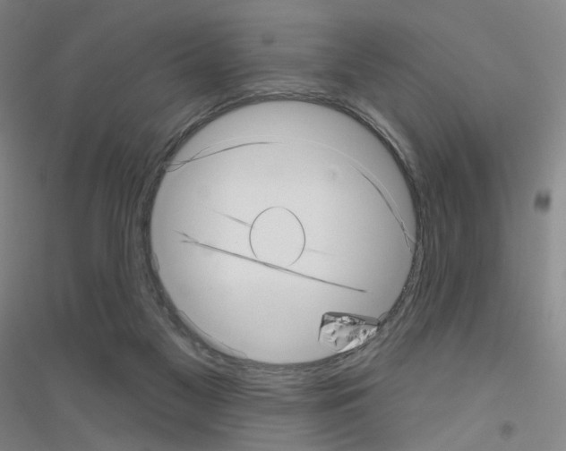 X0000116810117201001291609