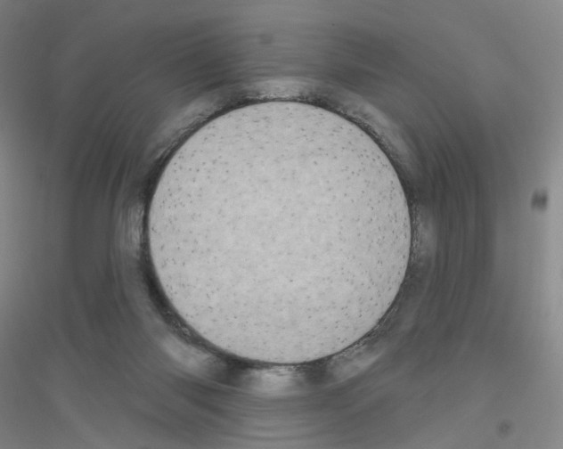 X0000116810118201001291609