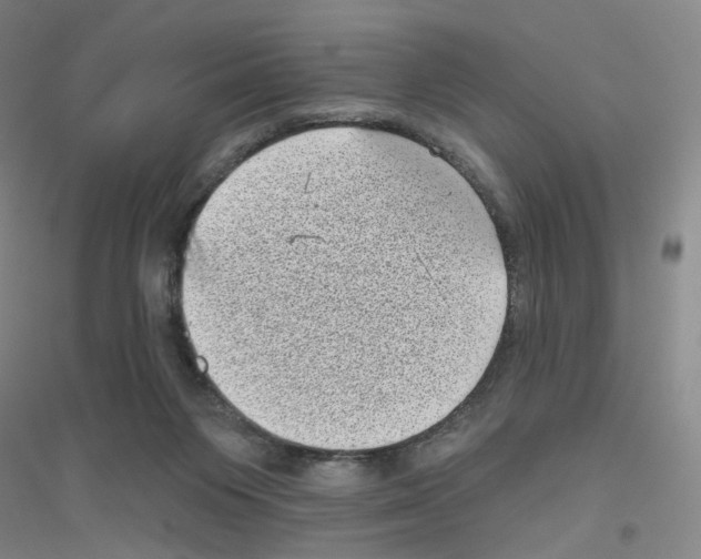 X0000116810119201001291609