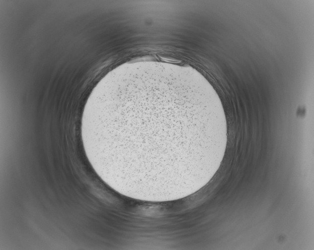 X0000116810120201001291609