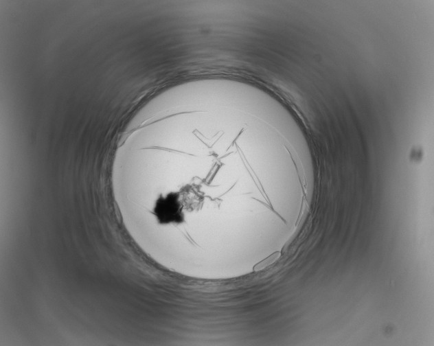 X0000116810121201001291609