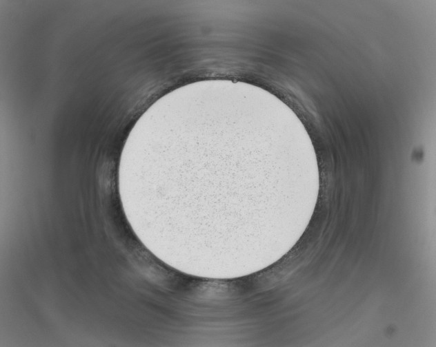 X0000116810123201001291609