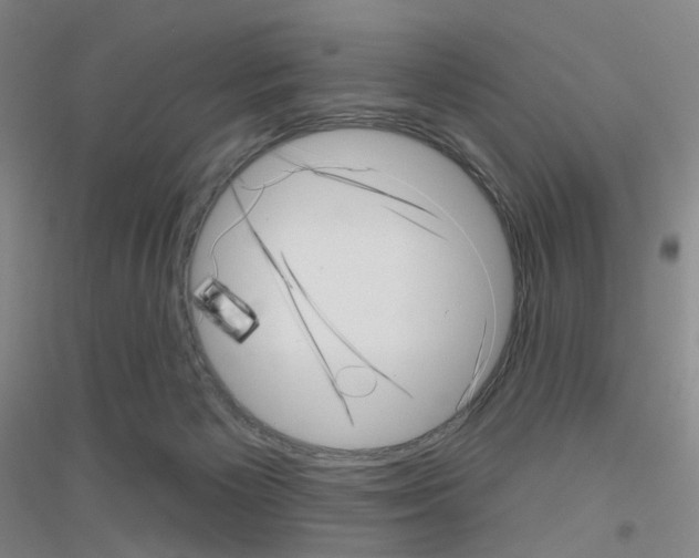 X0000116810125201001291609