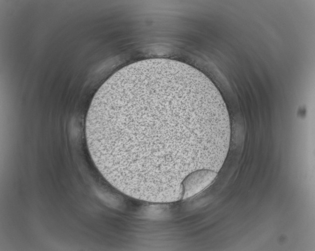 X0000116810126201001291609