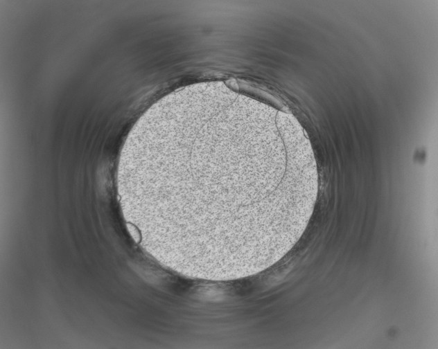 X0000116810127201001291609