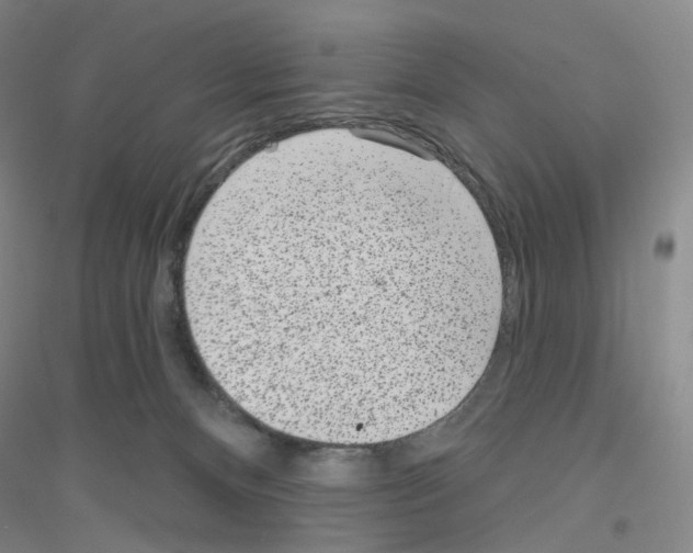 X0000116810128201001291609