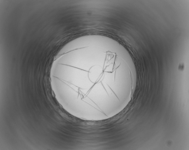 X0000116810129201001291609