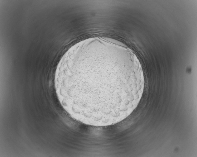 X0000116810131201001291609