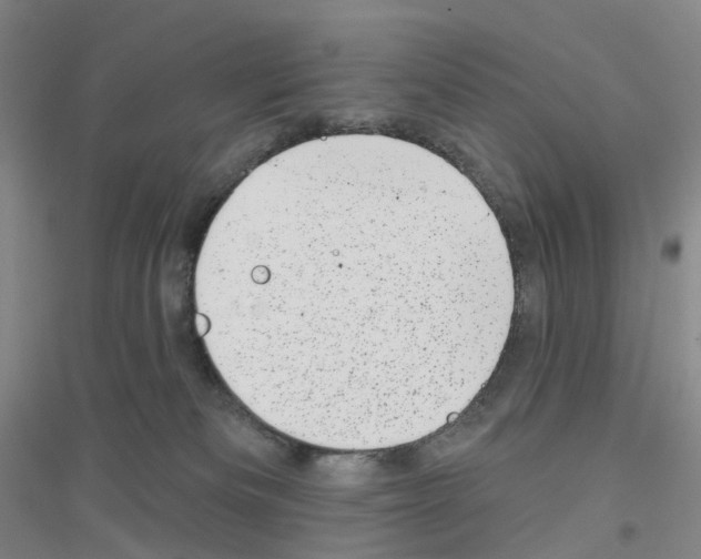 X0000116810133201001291609