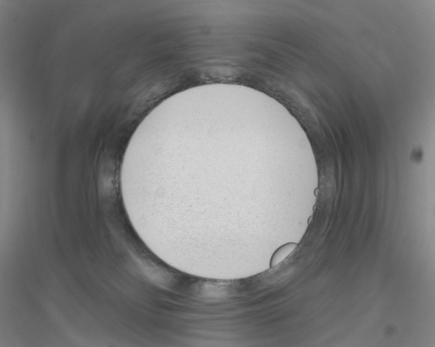 X0000116810134201001291609