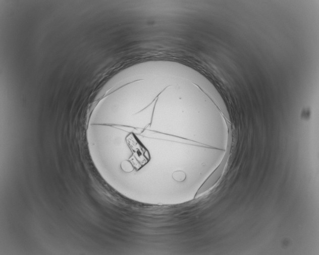 X0000116810136201001291609