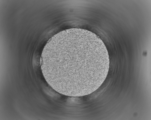 X0000116810137201001291609