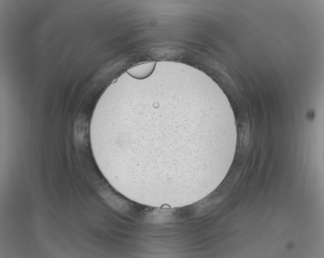 X0000116810138201001291609