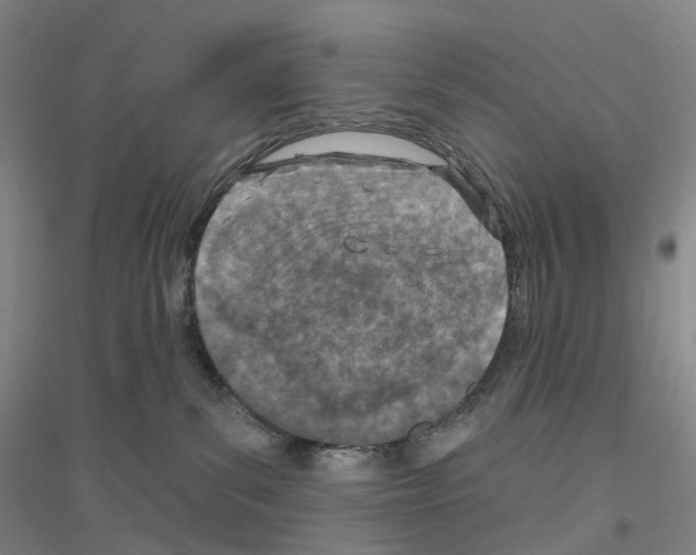 X0000116810139201001291609