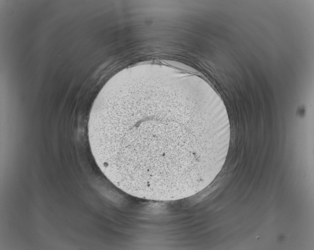 X0000116810140201001291609