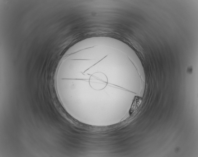 X0000116810141201001291609