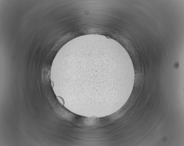 X0000116810142201001291609