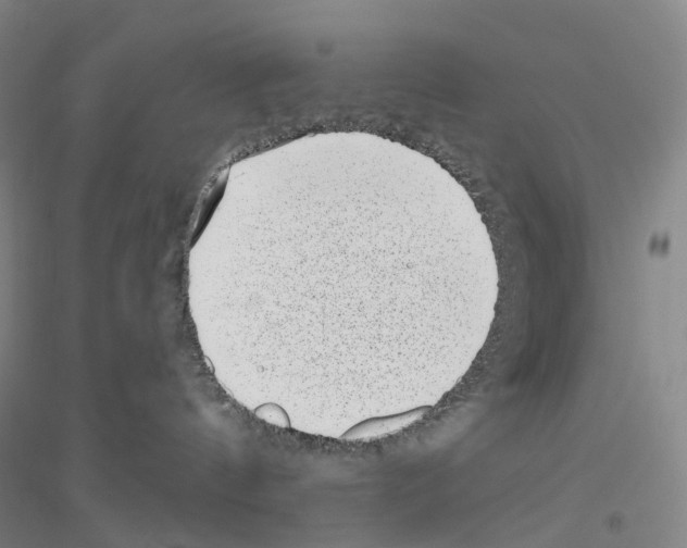 X0000116810144201001291609