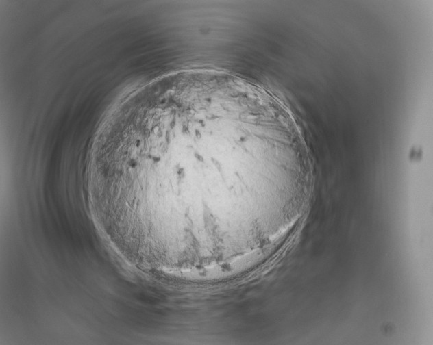 X0000116810145201001291608