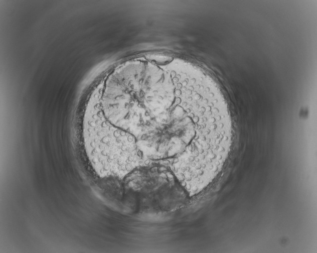 X0000116810149201001291608