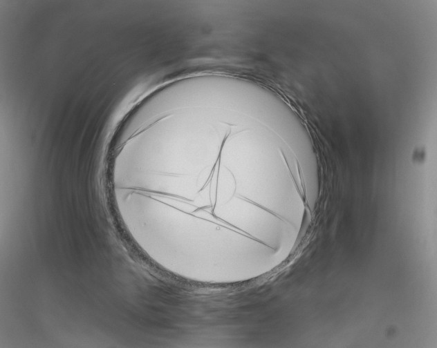 X0000116810150201001291608