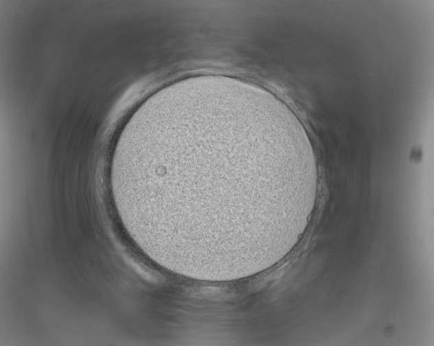 X0000116810151201001291608