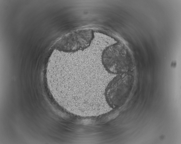 X0000116810153201001291608