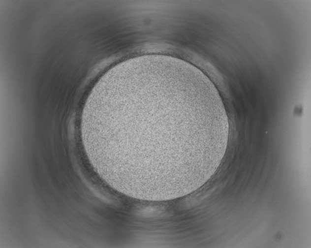 X0000116810155201001291608