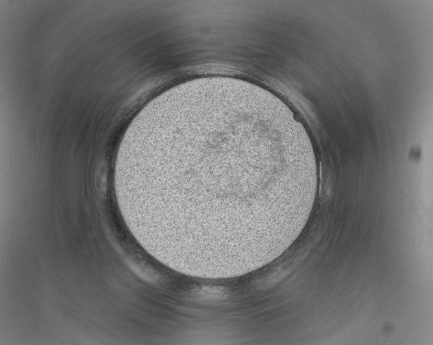 X0000116810157201001291608
