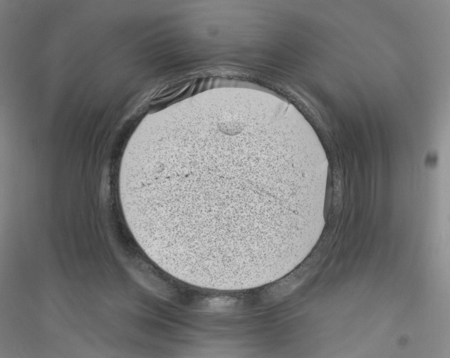X0000116810158201001291608