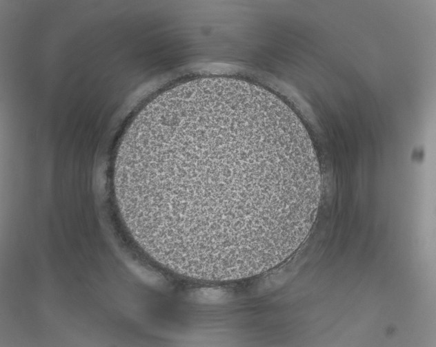 X0000116810159201001291608