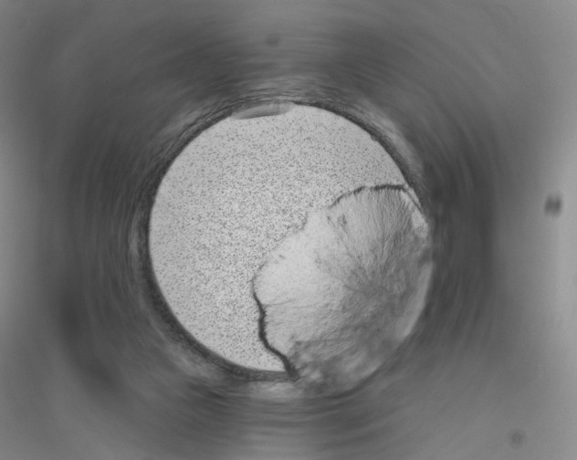 X0000116810161201001291608
