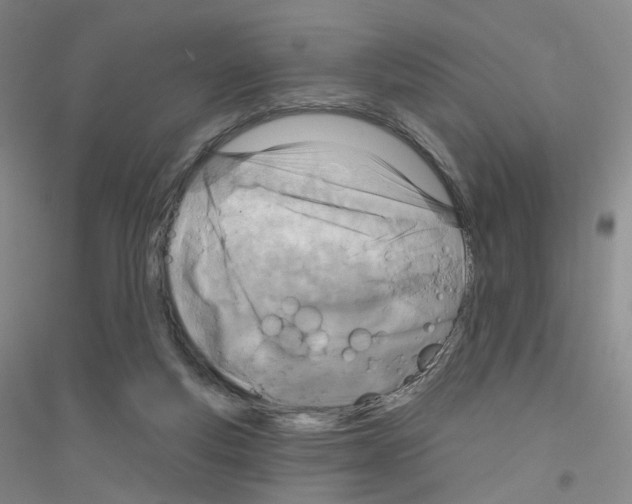 X0000116810163201001291608