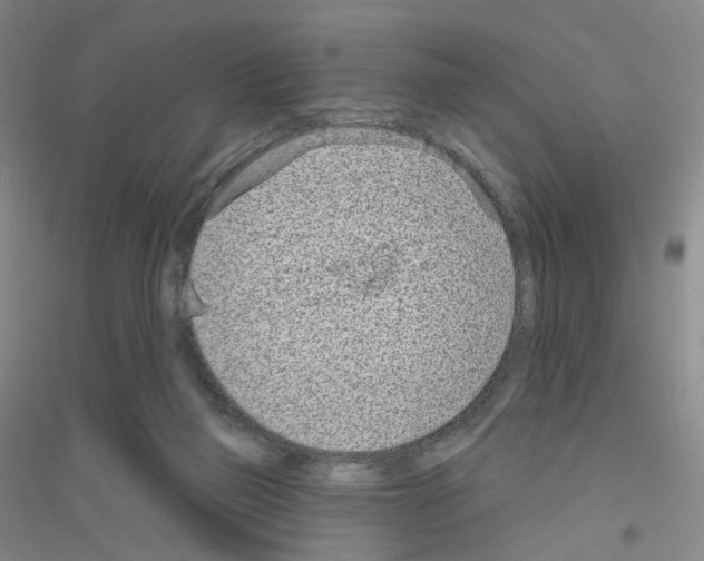 X0000116810165201001291608