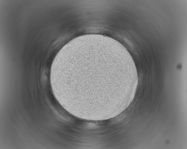 X0000116810166201001291608
