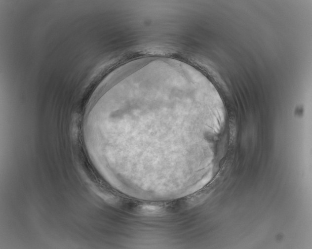 X0000116810167201001291609