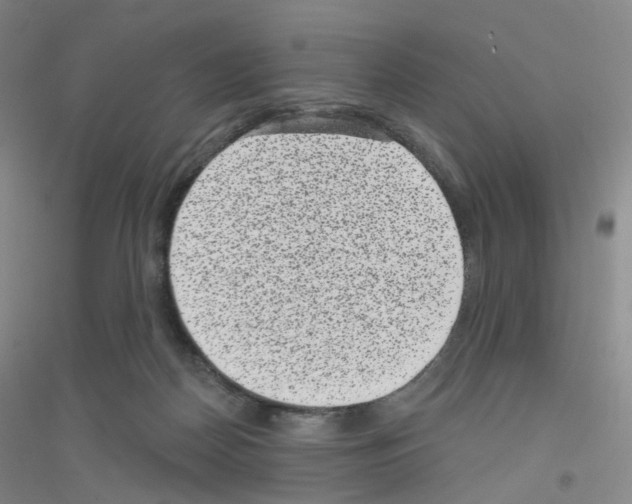 X0000116810170201001291609