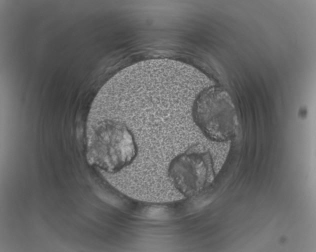 X0000116810173201001291609