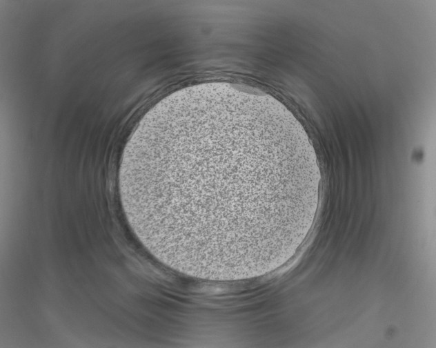 X0000116810174201001291609