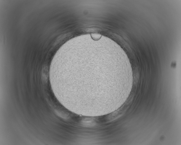 X0000116810175201001291609