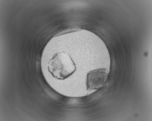 X0000116810177201001291609