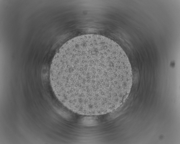 X0000116810179201001291609