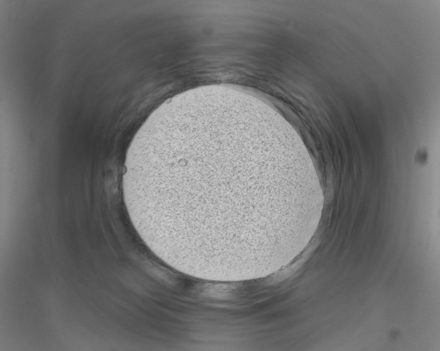 X0000116810182201001291609
