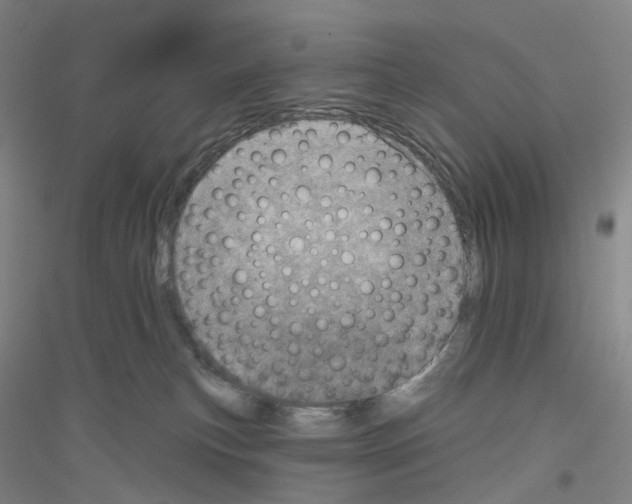 X0000116810183201001291609