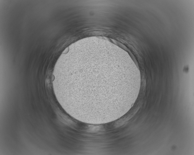 X0000116810185201001291609