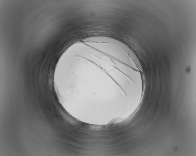 X0000116810190201001291609