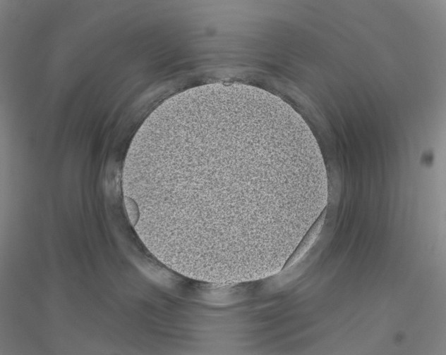 X0000116810191201001291609