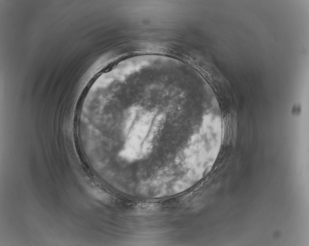 X0000116810195201001291608