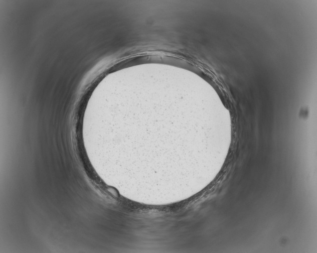 X0000116810197201001291608