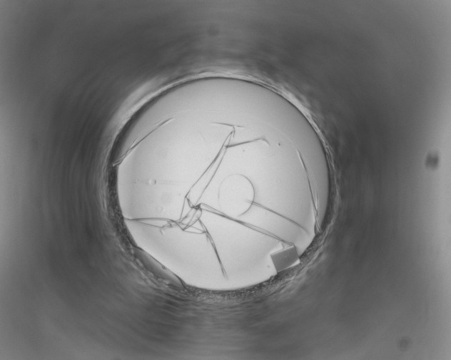 X0000116810199201001291608
